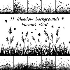 Image showing Set of Meadow backgrounds