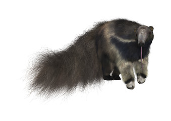 Image showing Giant Anteater