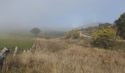 Image showing Foggy winter rural landscape and Carcoar Blayney Wind Farm