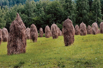 Image showing haystacks in field, Finland