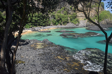 Image showing Crystalline sea beach in Fernando de Noronha,Brazil