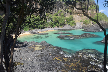 Image showing Crystalline sea beach in Fernando de Noronha,Brazil