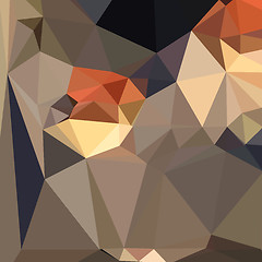 Image showing Cool Black Blue Brown Abstract Low Polygon Background