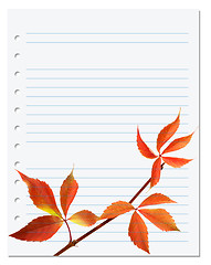 Image showing Exercise book with autumnal virginia creeper leaf 