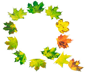 Image showing Letter Q composed of multicolor maple leafs