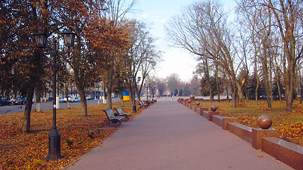 Image showing benches and path in the Autumn city park 