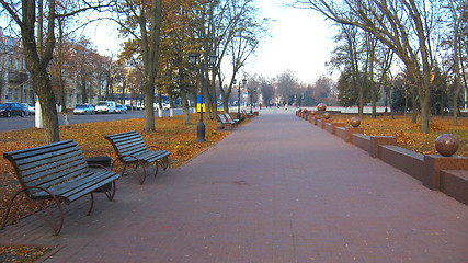 Image showing benches and path in the Autumn city park 
