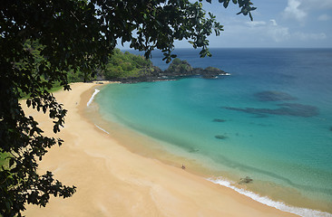 Image showing Crystalline sea beach in Fernando de Noronha,Brazil