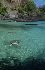 Image showing Diving in a crystalline sea beach in Fernando de Noronha,Brazil