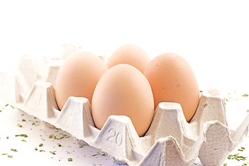 Image showing Eggs in carton