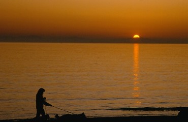 Image showing Sunset Walk