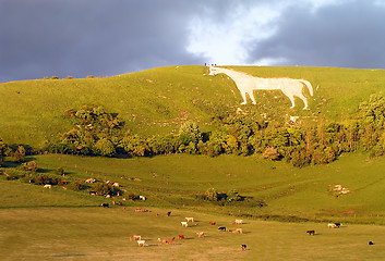 Image showing Westbury white horse