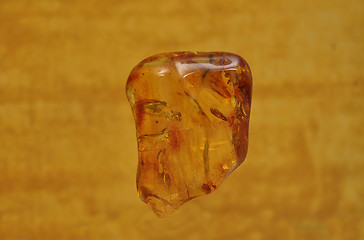 Image showing Amber on yellow