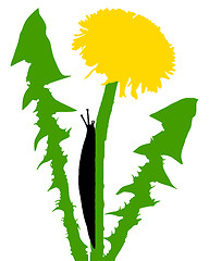 Image showing Slugs on dandelion