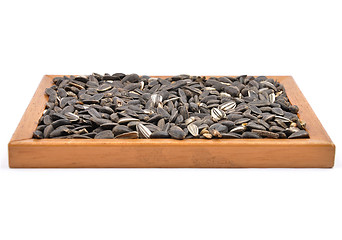 Image showing Bird seed in frame