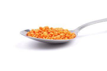 Image showing Red lentils on spoon