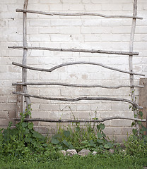 Image showing ladder for creeper plants, wall background
