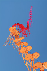 Image showing String of kites