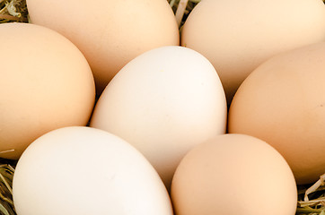 Image showing Eggs closeup