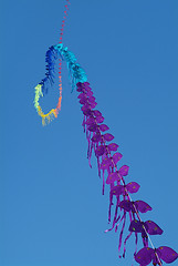 Image showing String of kites