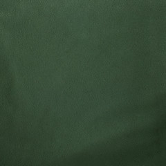 Image showing Green leather texture closeup