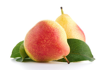 Image showing Two ripe pears