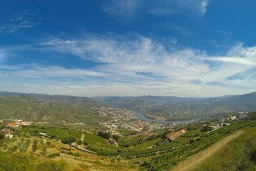 Image showing vineyars in Douro Valley