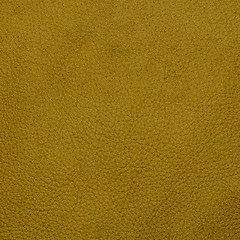 Image showing Yellow leather