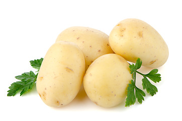 Image showing New potatoes and green parsley