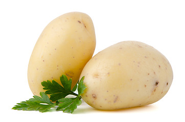 Image showing New potatoes and green parsley