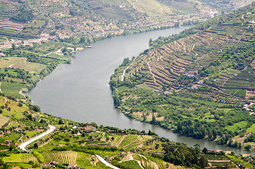 Image showing vineyars in Douro Valley