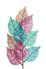 Image showing Decorative leaves