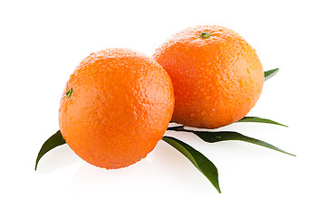 Image showing Ripe tangerines or mandarin