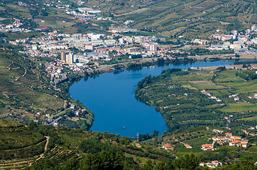 Image showing vineyars in Douro Valley