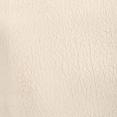 Image showing White leather texture