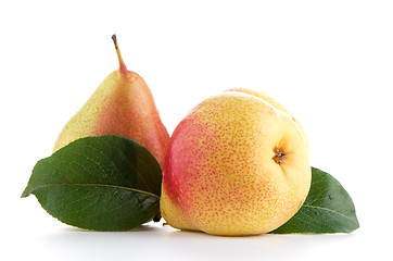 Image showing Two ripe pears