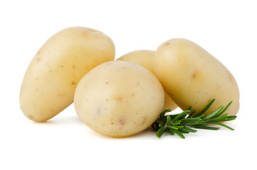 Image showing New potato and green parsley