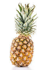 Image showing Pineapple