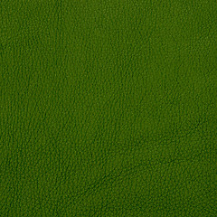 Image showing Green leather texture closeup