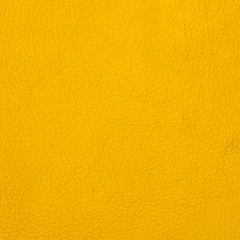 Image showing Yellow leather