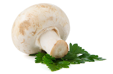 Image showing Champignon mushroom and parsley leaves 