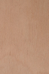 Image showing Yellow wood texture