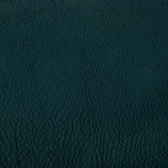 Image showing Green leather