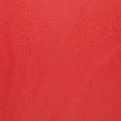 Image showing Red leather 