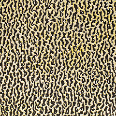 Image showing Abstract leather texture 