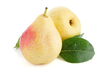 Image showing Two ripe pears