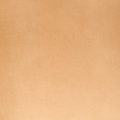 Image showing Beige leather