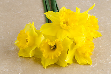 Image showing Jonquil flowers