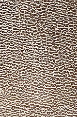 Image showing Abstract leather texture 