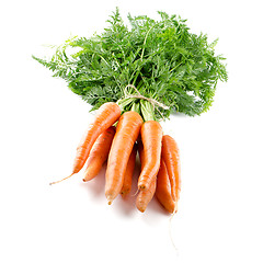 Image showing Carrots